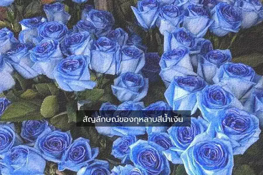 สัญลักษณ์ดอกกุหลาบสีน้ำเงิน